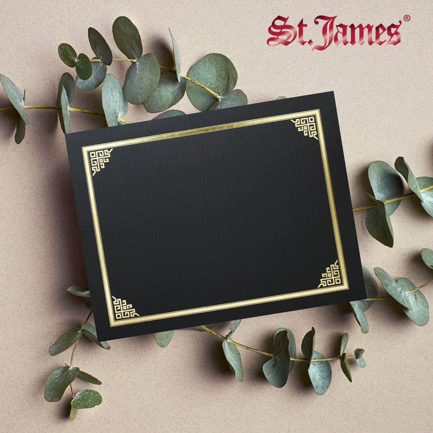 St. James® Certificate Holders/Document Covers/Diploma Holders, Black, Gold Foil Border, Linen Finish, Pack of 5, 83802