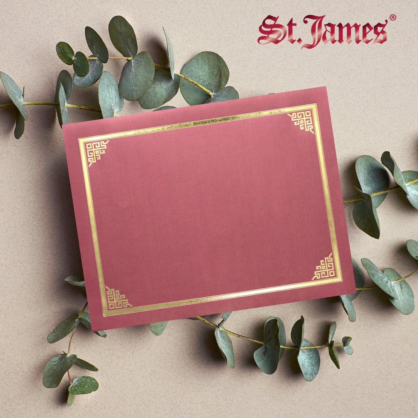 St. James® Certificate Holders/Document Covers/Diploma Holders, Red, Gold Foil Border, Linen Finish, Pack of 5, 83804