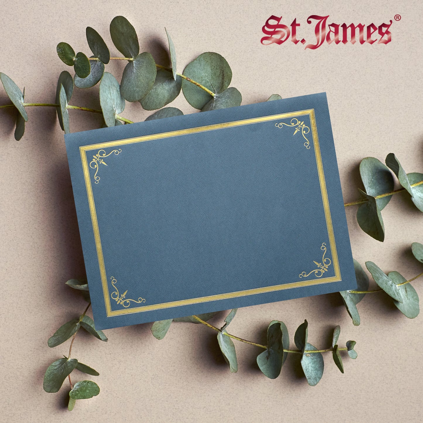 St. James® Porte-certificats/Couvertures de documents/Porte-diplômes, Bleu marine, Bordure en feuille d'or, Finition lin, Paquet de 5, 83806