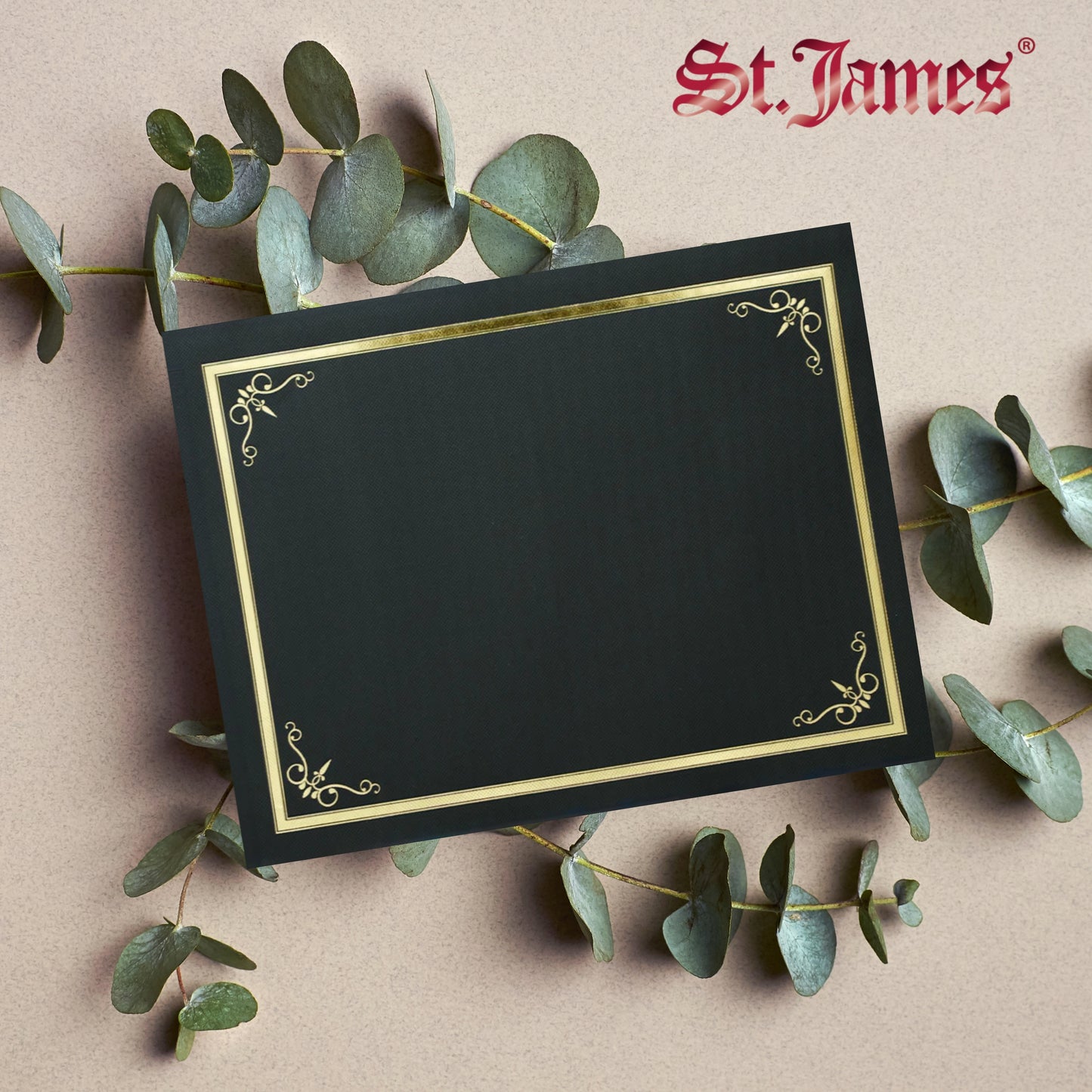 St. James® Certificate Holders/Document Covers/Diploma Holders, Black, Gold Foil Border, Linen Finish, Pack of 5, 83805