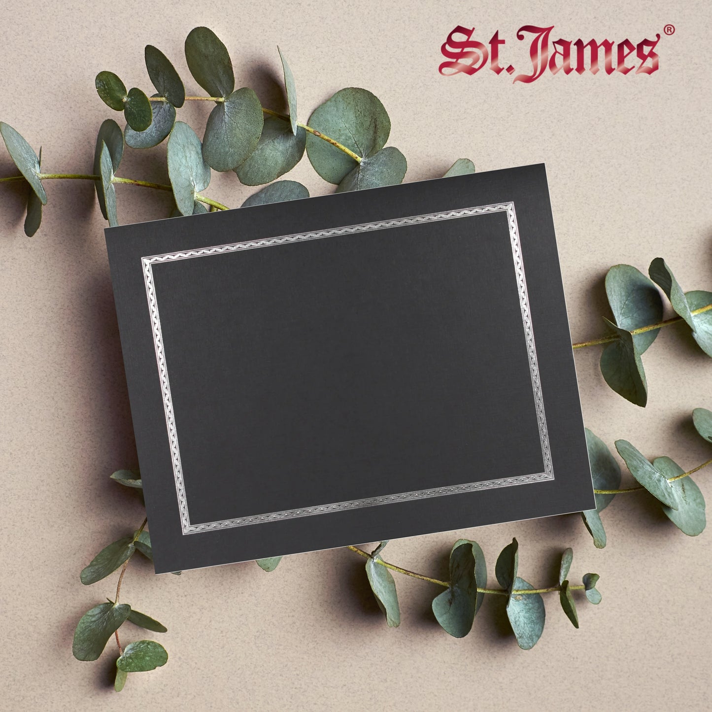 St. James® Certificate Holders/Document Covers/Diploma Holders, Black, Silver Foil Border, Linen Finish, Pack of 5, 83849