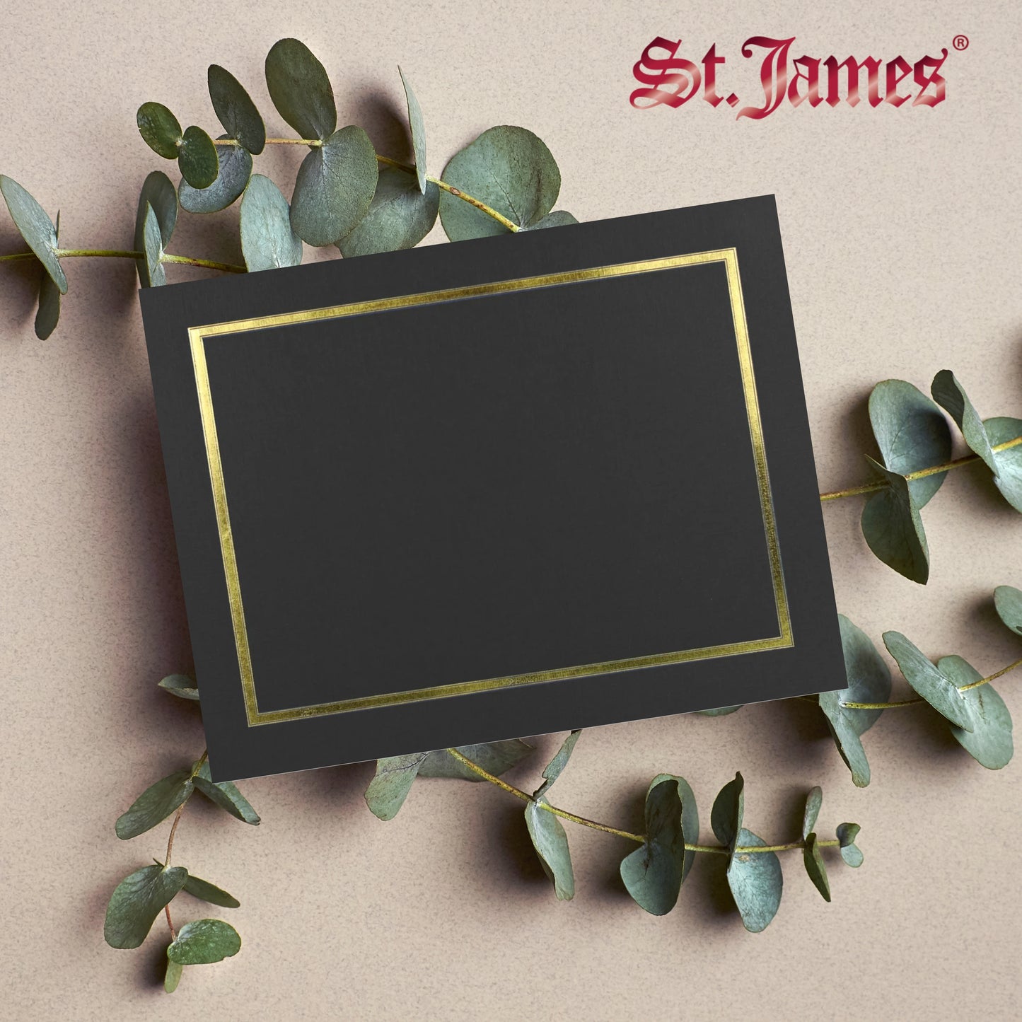 St. James® Certificate Holders/Document Covers/Diploma Holders, Black, Gold Foil Border, Linen Finish, Pack of 5, 83852