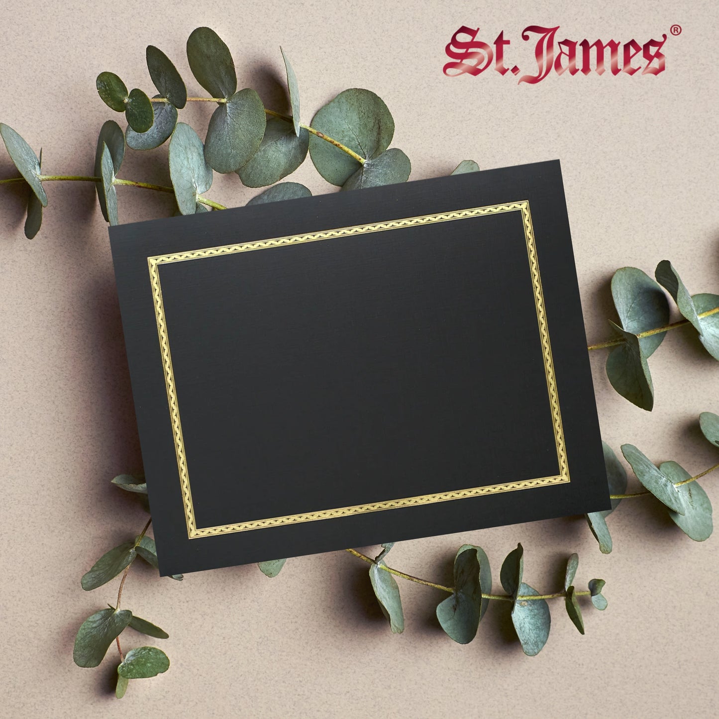 St. James® Certificate Holders/Document Covers/Diploma Holders, Black, Gold Foil Border, Linen Finish, Pack of 5, 83848