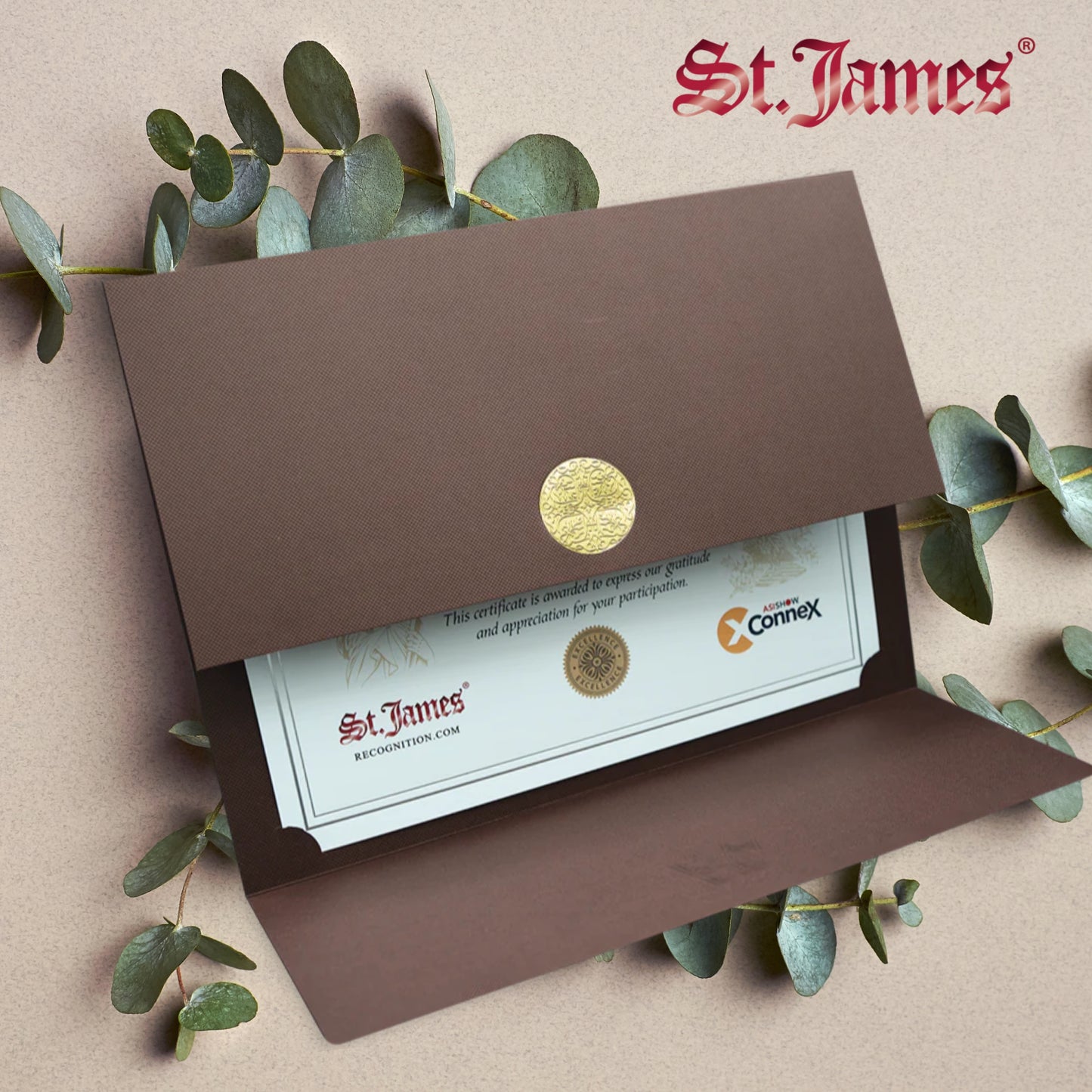 St. James® Porte-certificats/Couvertures de documents/Porte-diplômes, Marron, Sceau de récompense doré avec ruban doré, Paquet de 5, 83828