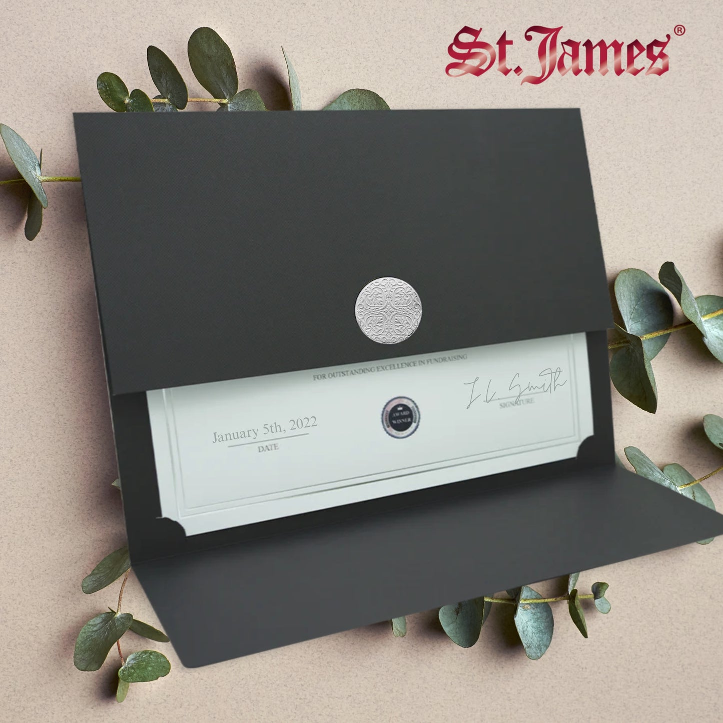 St. James® Porte-certificats/Couvertures de documents/Porte-diplômes, Noir, Sceau de récompense argenté avec ruban bleu, Paquet de 5, 83844