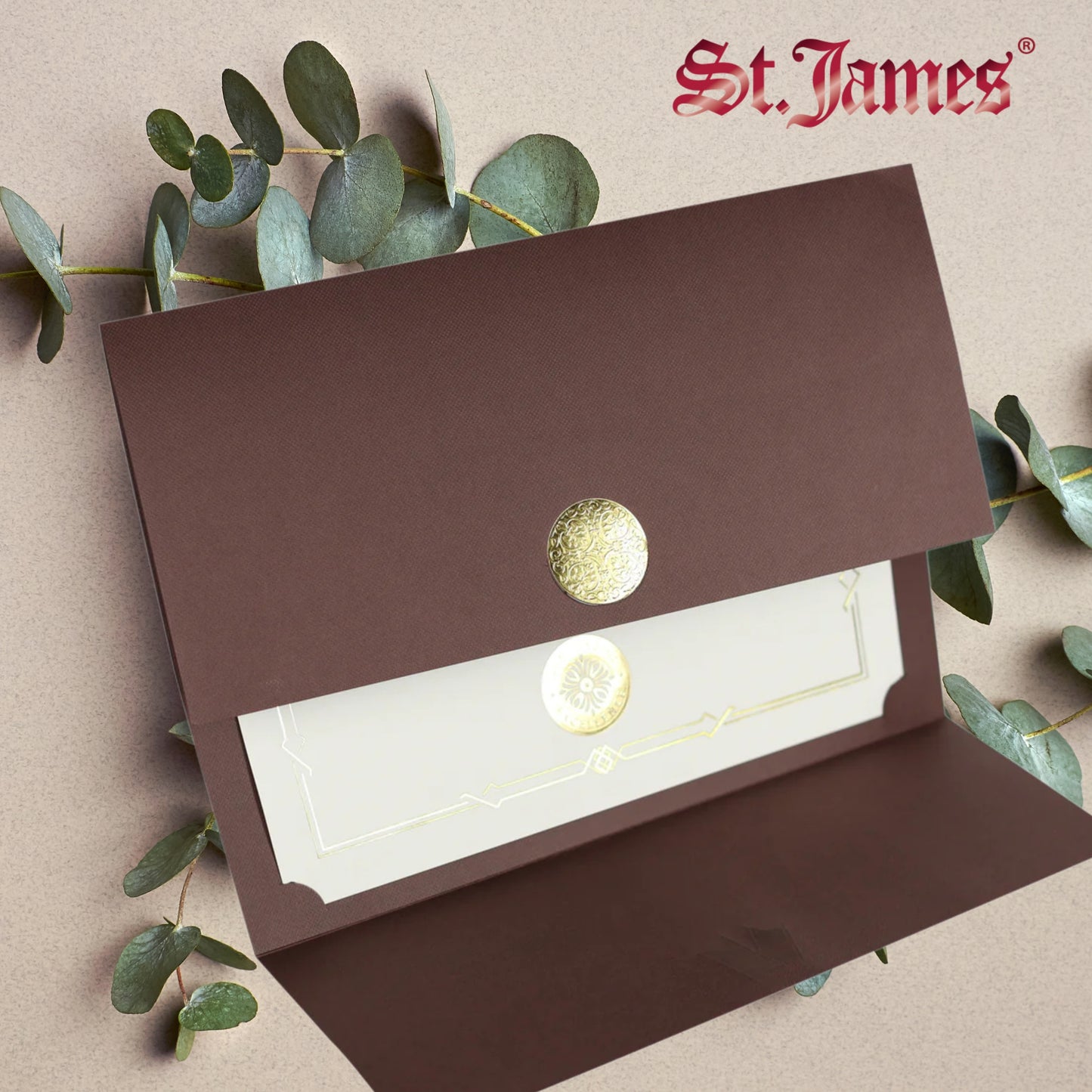 St. James® Certificate Holders/Document Covers/Diploma Holders, Brown, Gold Award Seal with Blue Ribbon, Pack of 5, 83826