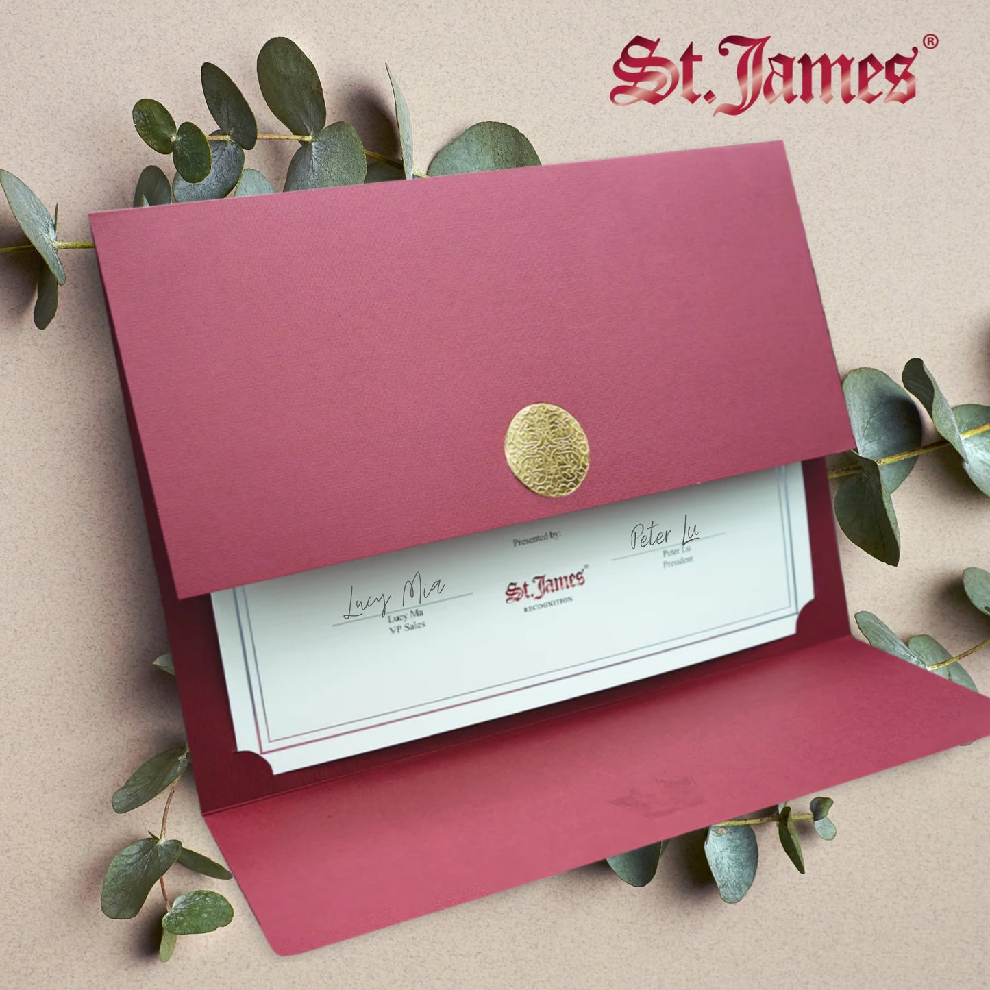 St. James® Porte-certificats/Couvertures de documents/Porte-diplômes, Bordeaux, Sceau d'or avec ruban rouge, Paquet de 5, 83818