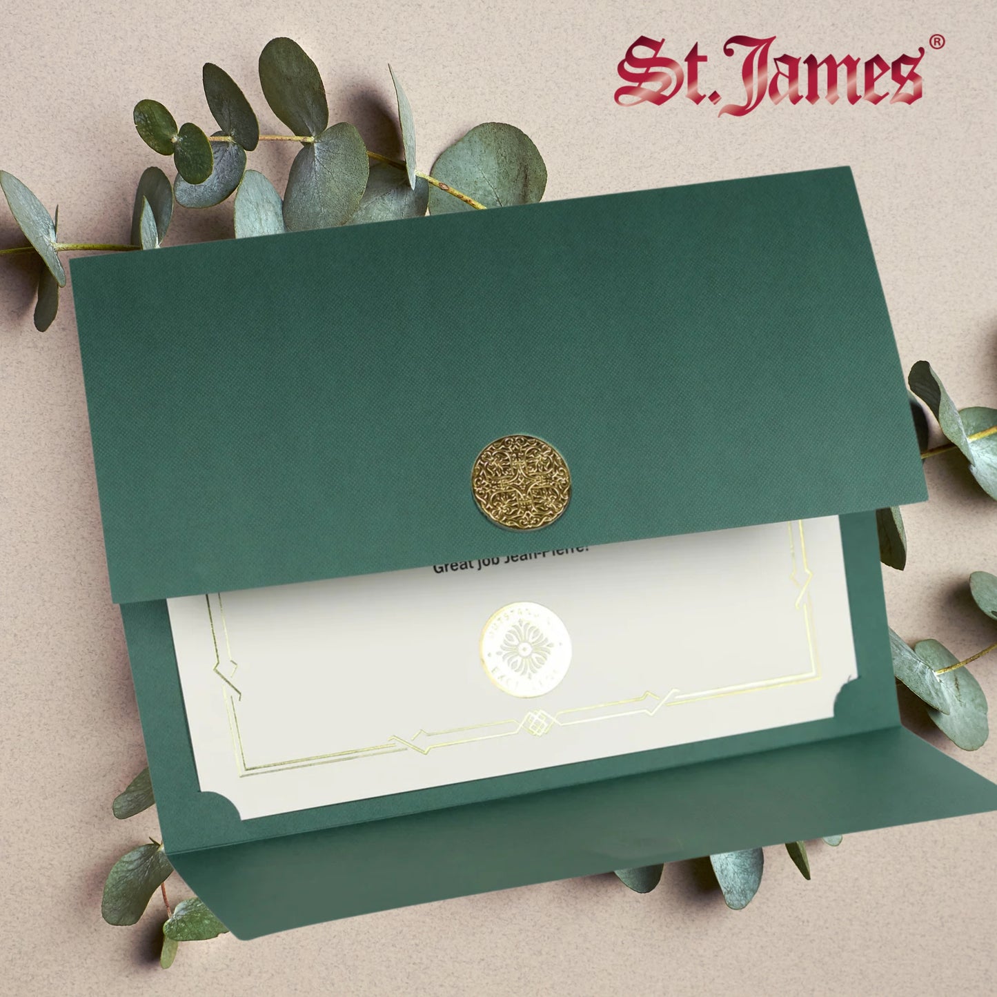 St. James® Certificate Holders/Document Covers/Diploma Holders, Green, Gold Award Seal with Gold Ribbon, Pack of 5, 83825
