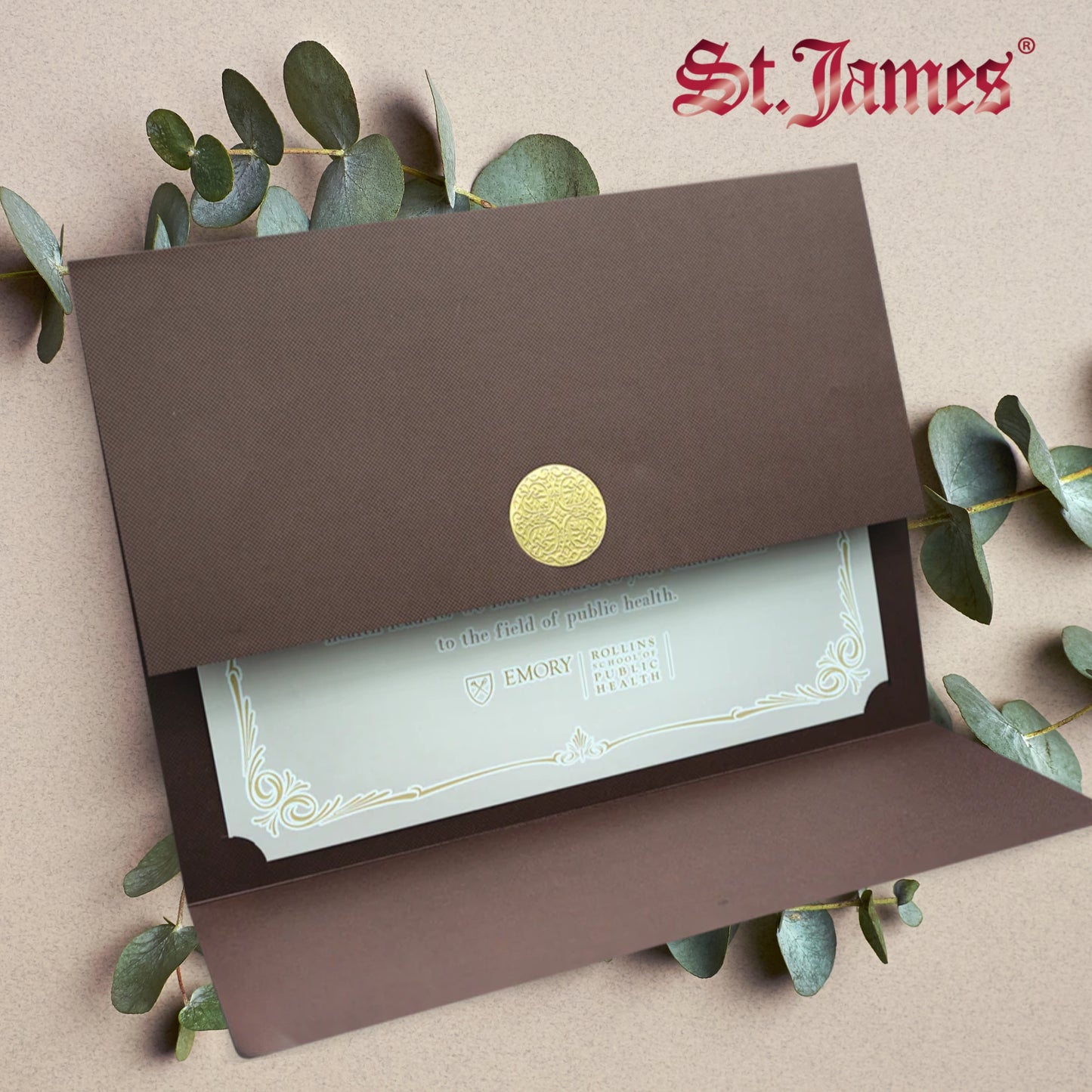 St. James® Certificate Holders/Document Covers/Diploma Holders, Burgundy, Gold Award Seal with Single Gold Ribbon, Pack of 5, 83834