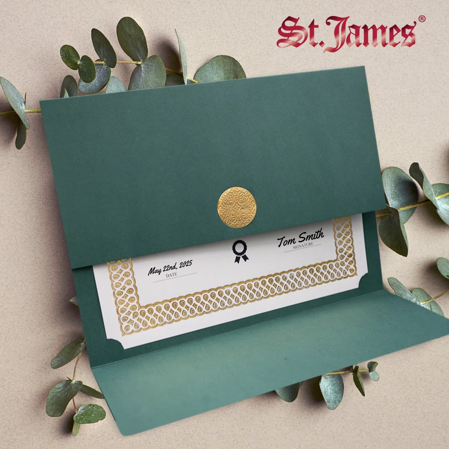 St. James® Certificate Holders/Document Covers/Diploma Holders, Green, Gold Award Seal with Single Gold Ribbon, Pack of 5, 83832