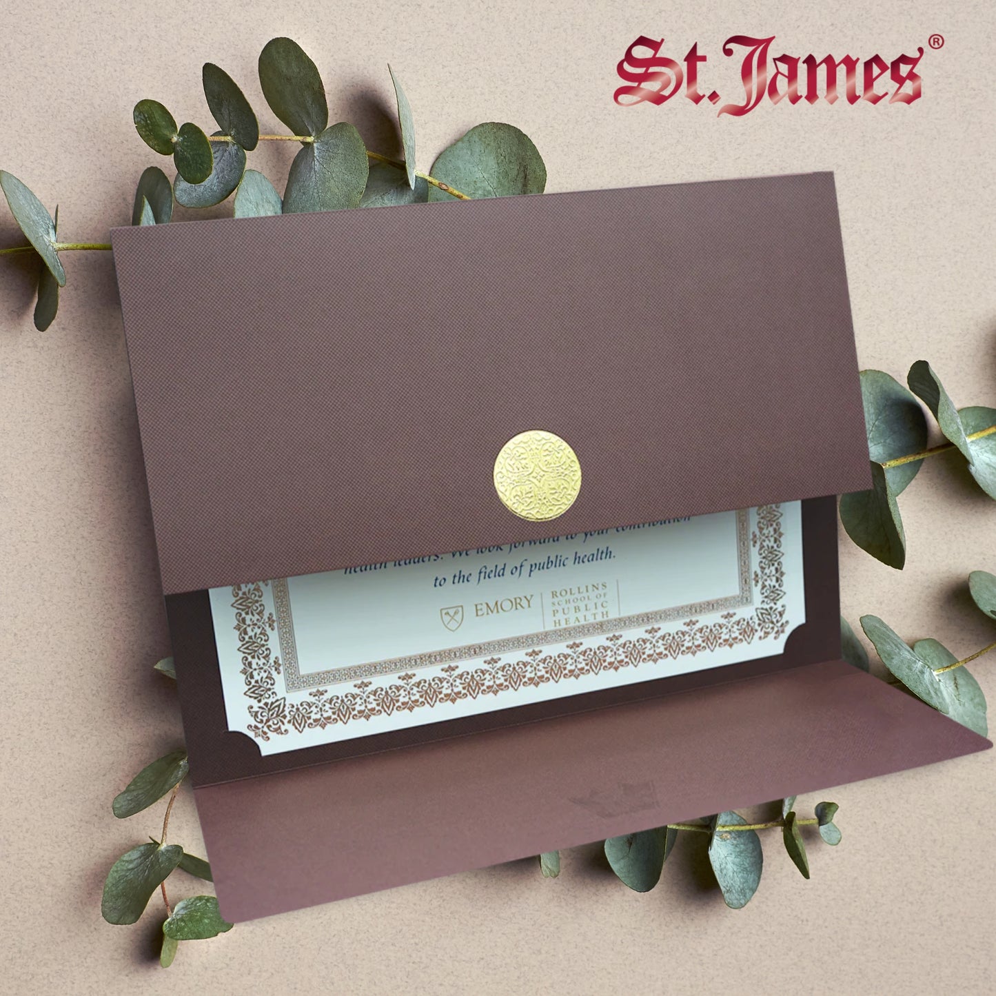 St. James® Certificate Holders/Document Covers/Diploma Holders, Brown, Gold Award Seal with Red Ribbon, Pack of 5, 83827