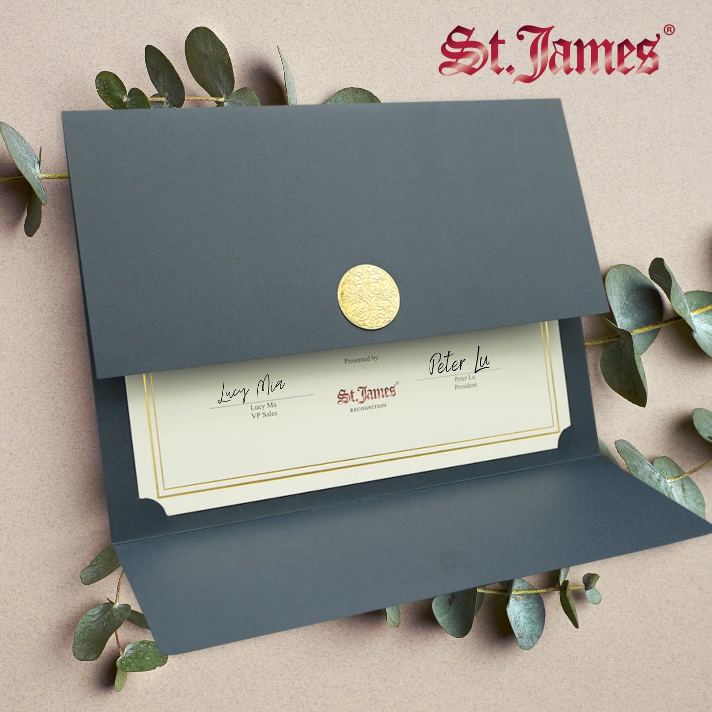 St. James® Porte-certificats/Couvertures de documents/Porte-diplômes, Bleu marine, Sceau d'or avec ruban rouge unique, Paquet de 5, 83838