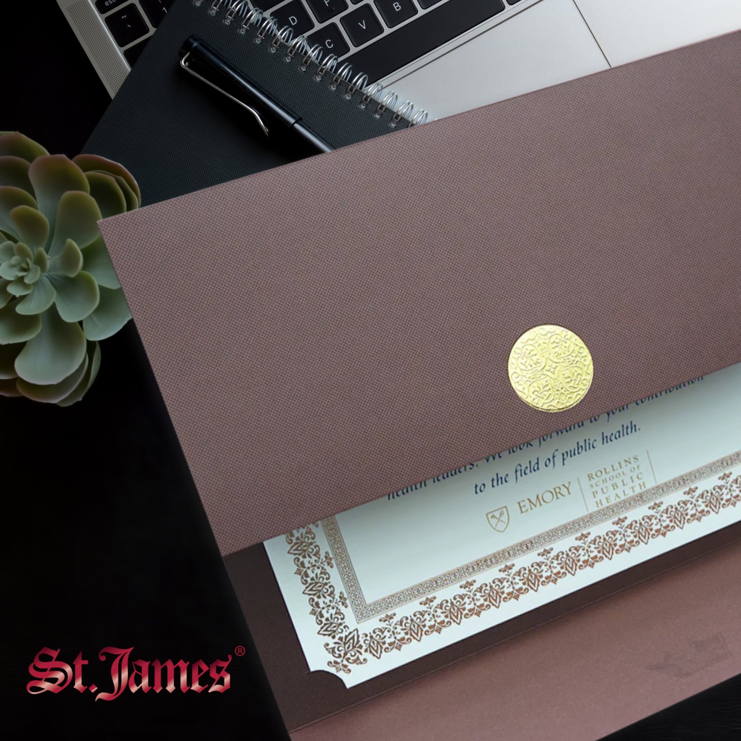 St. James® Certificate Holders/Document Covers/Diploma Holders, Brown, Gold Award Seal with Red Ribbon, Pack of 5, 83827