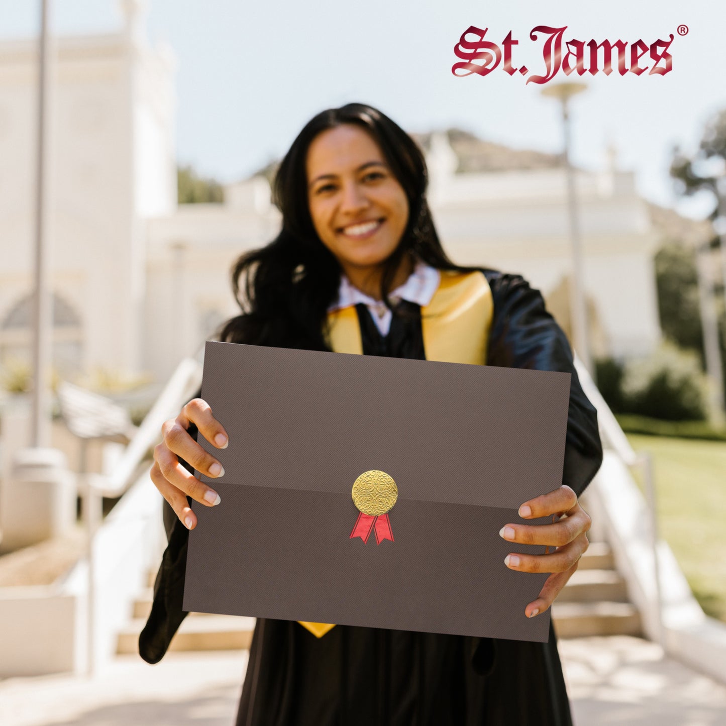 St. James® Certificate Holders/Document Covers/Diploma Holders, Brown, Gold Award Seal with Red Ribbon, Pack of 5, 83827