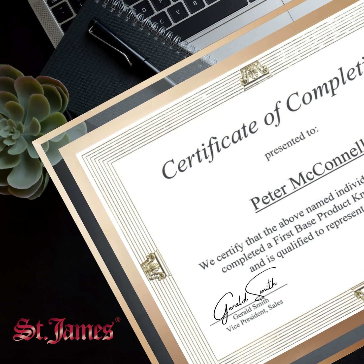 St. James® Certificate/Document/Diploma Glass Frame, 8.5x11", Clean Line Border, Gold Foil, Pack of 2, 83940