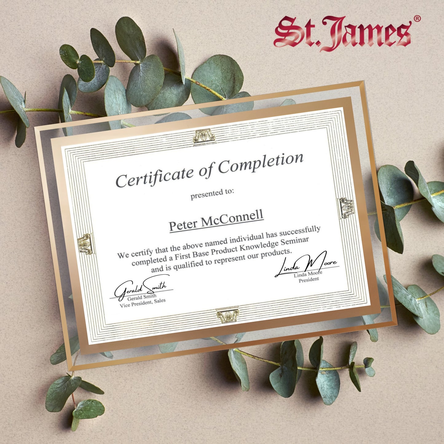 St. James® Certificate/Document/Diploma Glass Frame, 8.5x11", Clean Line Border, Gold Foil, Pack of 2, 83940