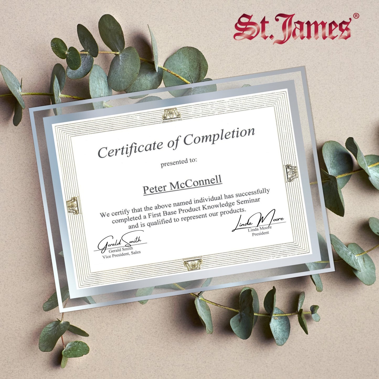 St. James® Certificate/Document/Diploma Glass Frame, 8.5x11", Clean Line Border, Silver Foil, Pack of 2, 83942