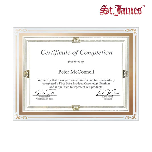 St. James® Certificate/Document/Diploma Glass Frame, 8.5x11", Decorative Border, Gold Foil, Pack of 2, 83944