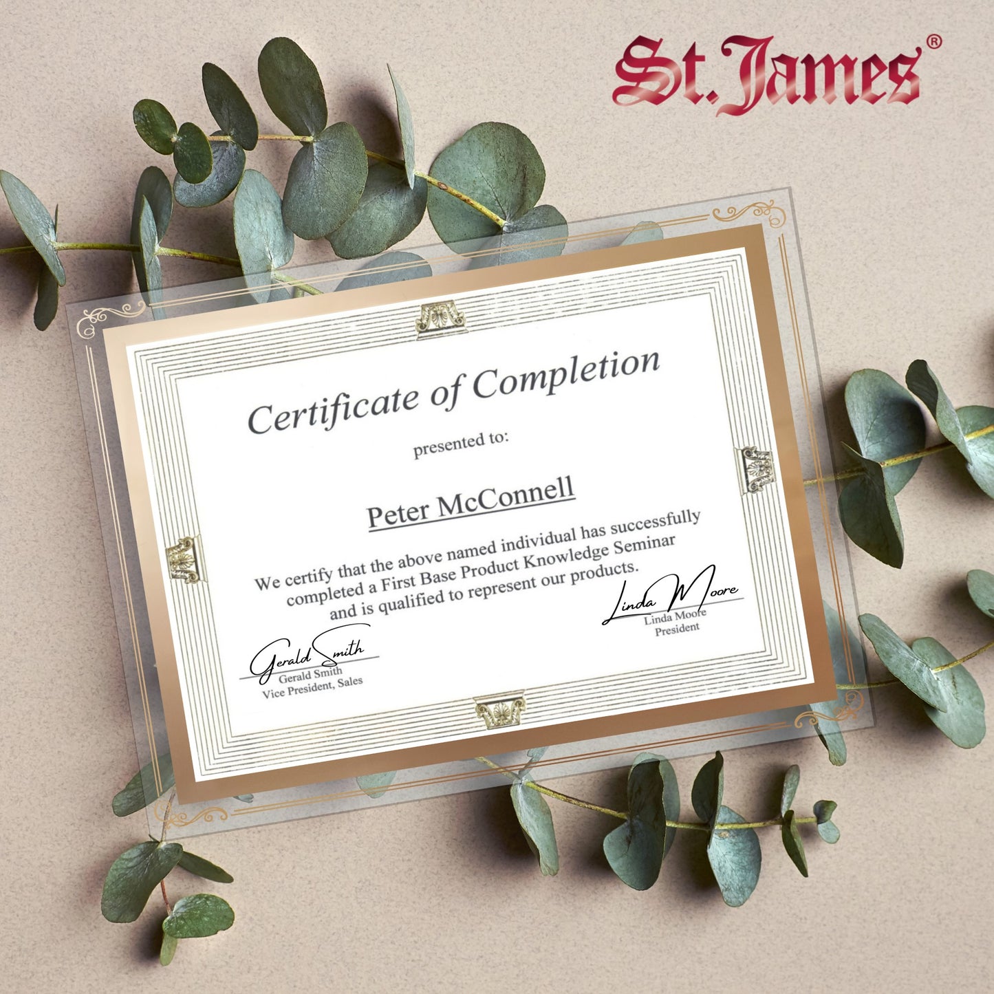 St. James® Certificate/Document/Diploma Glass Frame, 8.5x11", Decorative Border, Gold Foil, Pack of 2, 83944