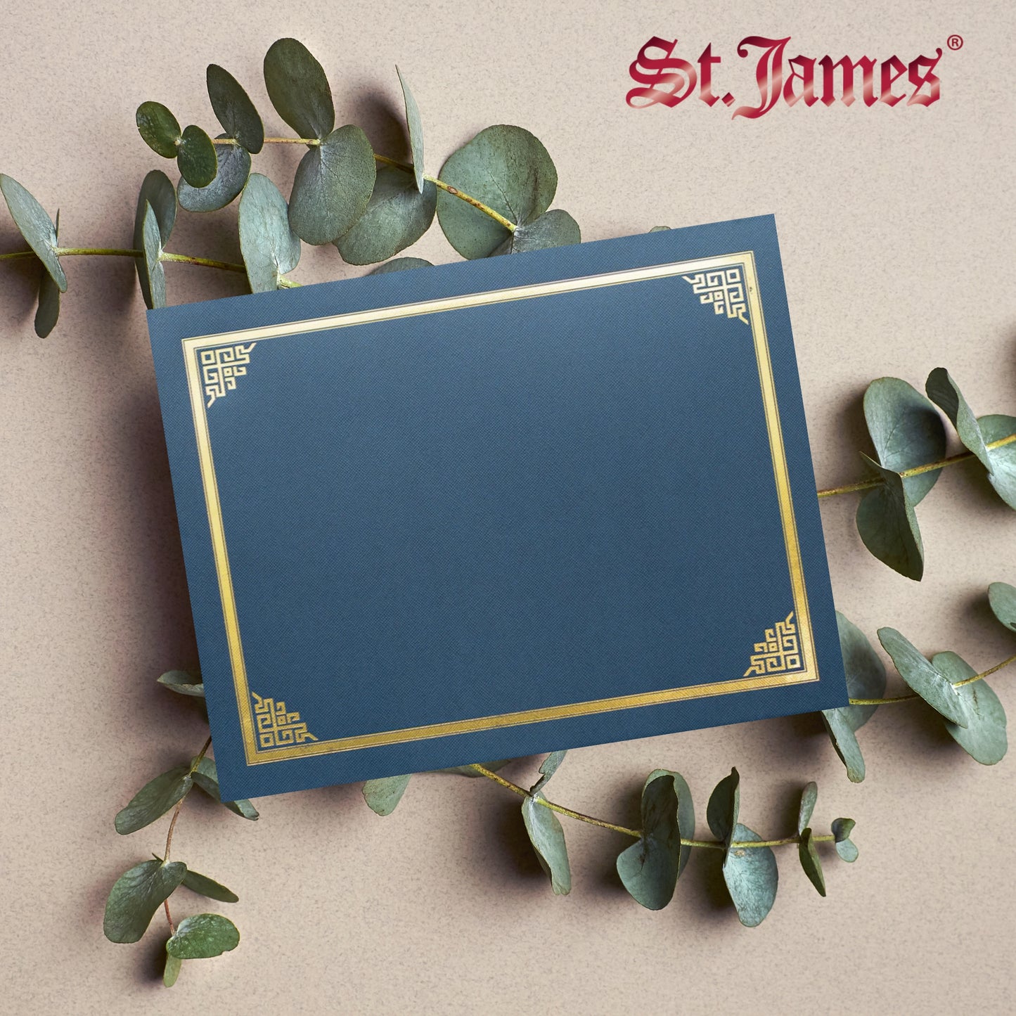 St. James® Certificate Holders/Document Covers/Diploma Holders, Navy Blue, Gold Foil Border, Linen Finish, Pack of 5, 83803