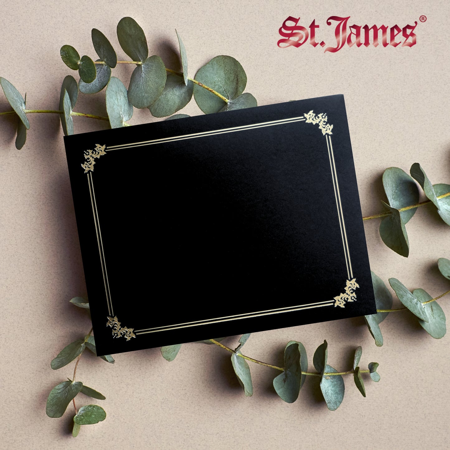 St. James® Premium Certificate Holders, Double Display Folders for 8.5 x 11" Documents, Black, Gold Foil Border, Pack of 10, 83953