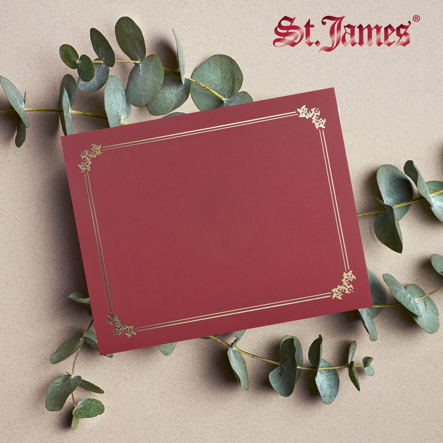 St. James® Premium Certificate Holders, Double Display Folders for 8.5 x 11" Documents, Burgundy, Gold Foil Border, Pack of 10, 83957