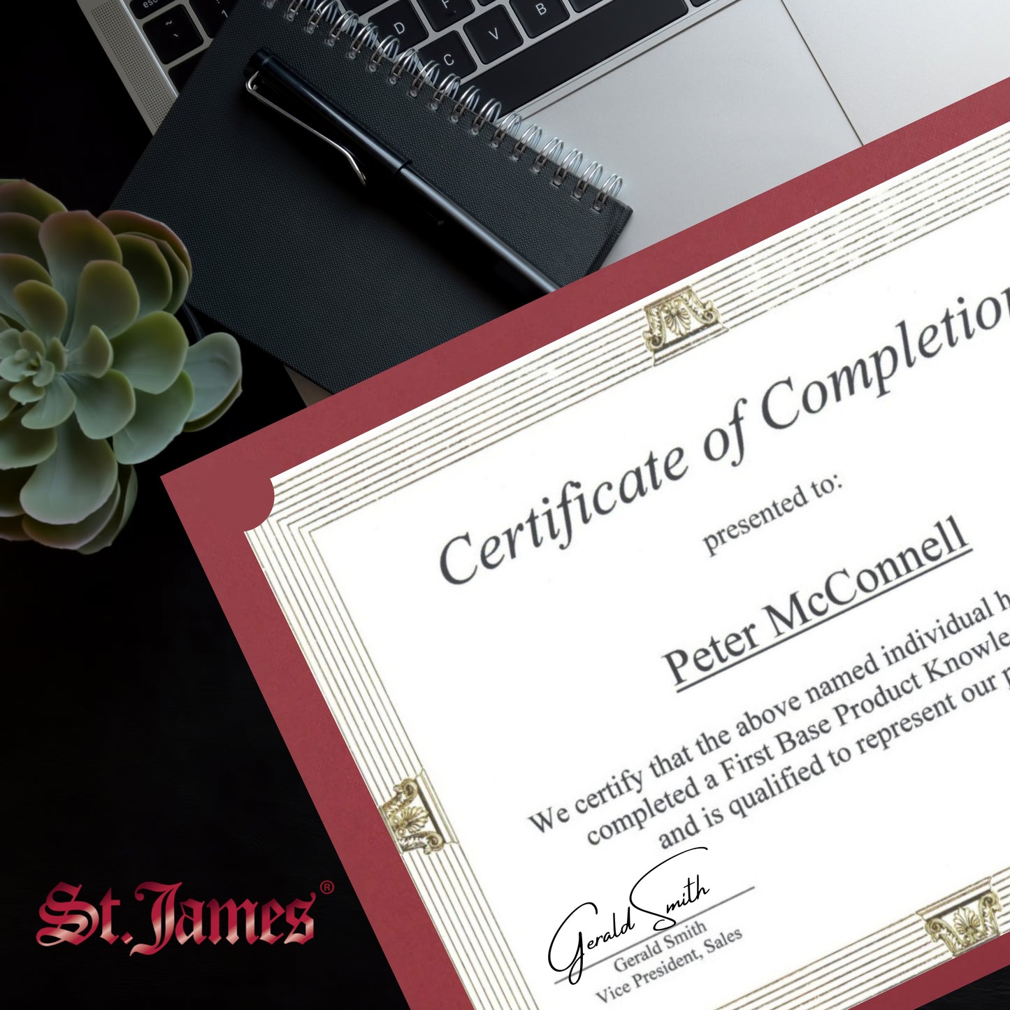 St. James® Premium Certificate Holders, Double Display Folders for 8.5 x 11" Documents, Burgundy, Gold Foil Border, Pack of 10, 83957