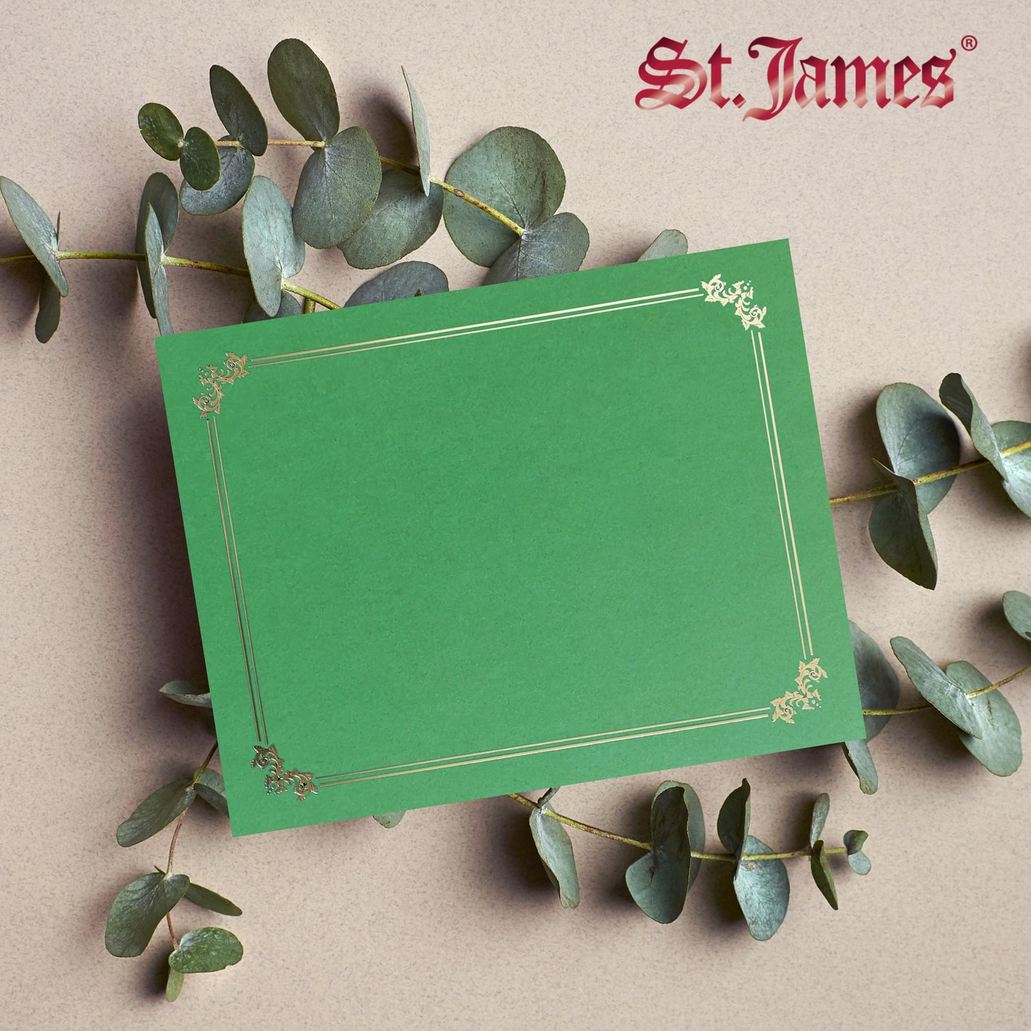 St. James® Premium Certificate Holders, Double Display Folders for 8.5 x 11" Documents, Green, Gold Foil Border, Pack of 10, 83959