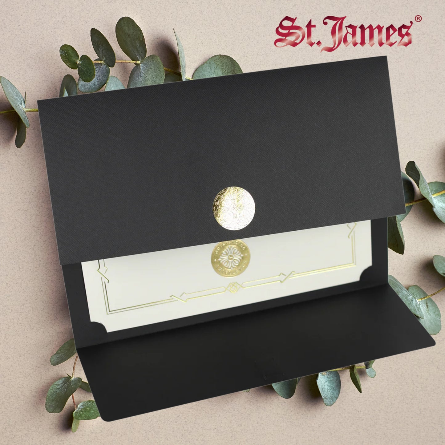 St. James® Certificate Holders/Document Covers/Diploma Holders, Black, Gold Award Seal with Single Black Ribbon, Pack of 5, 83840