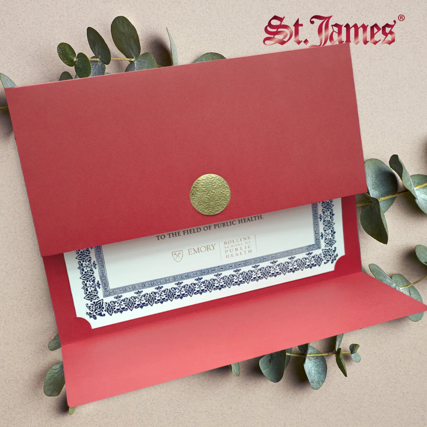 St. James® Certificate Holders/Document Covers/Diploma Holders, Red, Gold Award Seal with Blue Ribbon, Pack of 5, 83829
