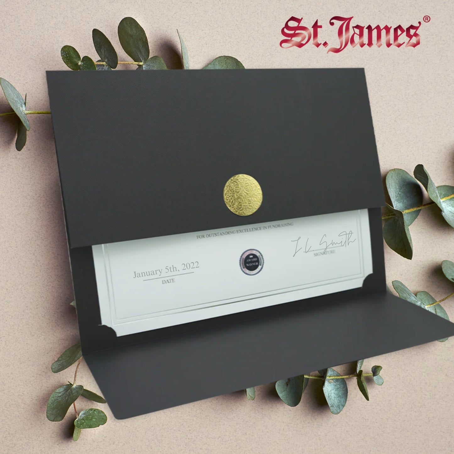 St. James® Porte-certificats/Couvertures de documents/Porte-diplômes, Noir, Sceau d'or avec ruban rouge, Paquet de 5, 83821