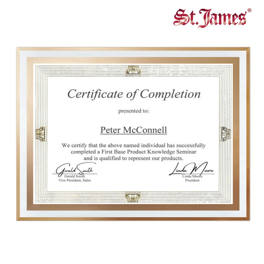 St. James® Certificate/Document/Diploma Glass Frame, 8.5x11", Clean Line Border, Gold Foil, Pack of 2, 83940