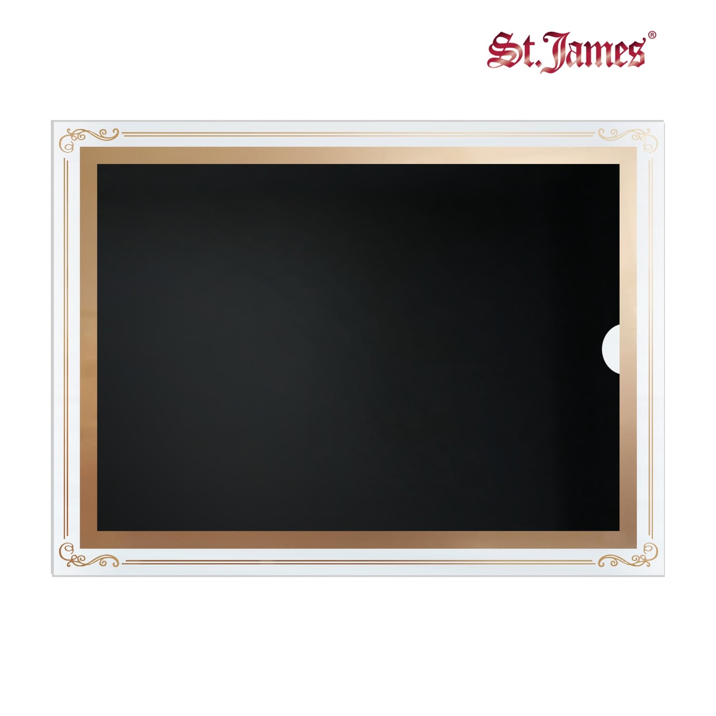 St. James® Certificate/Document/Diploma Glass Frame, 8.5x11", Decorative Border, Gold Foil, Pack of 2, 83944