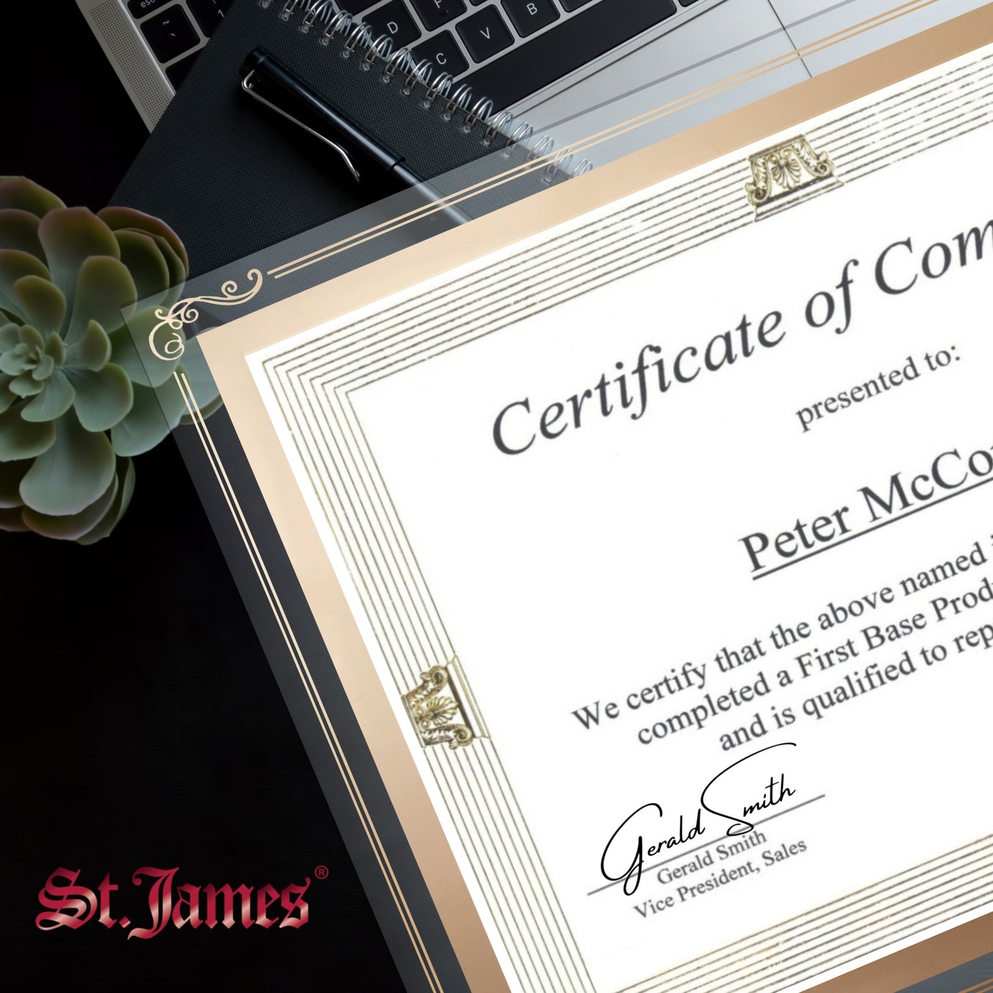 St. James® Certificate/Document/Diploma Glass Frame, 8.5x11", Decorative Border, Gold Foil, Pack of 2, 83944