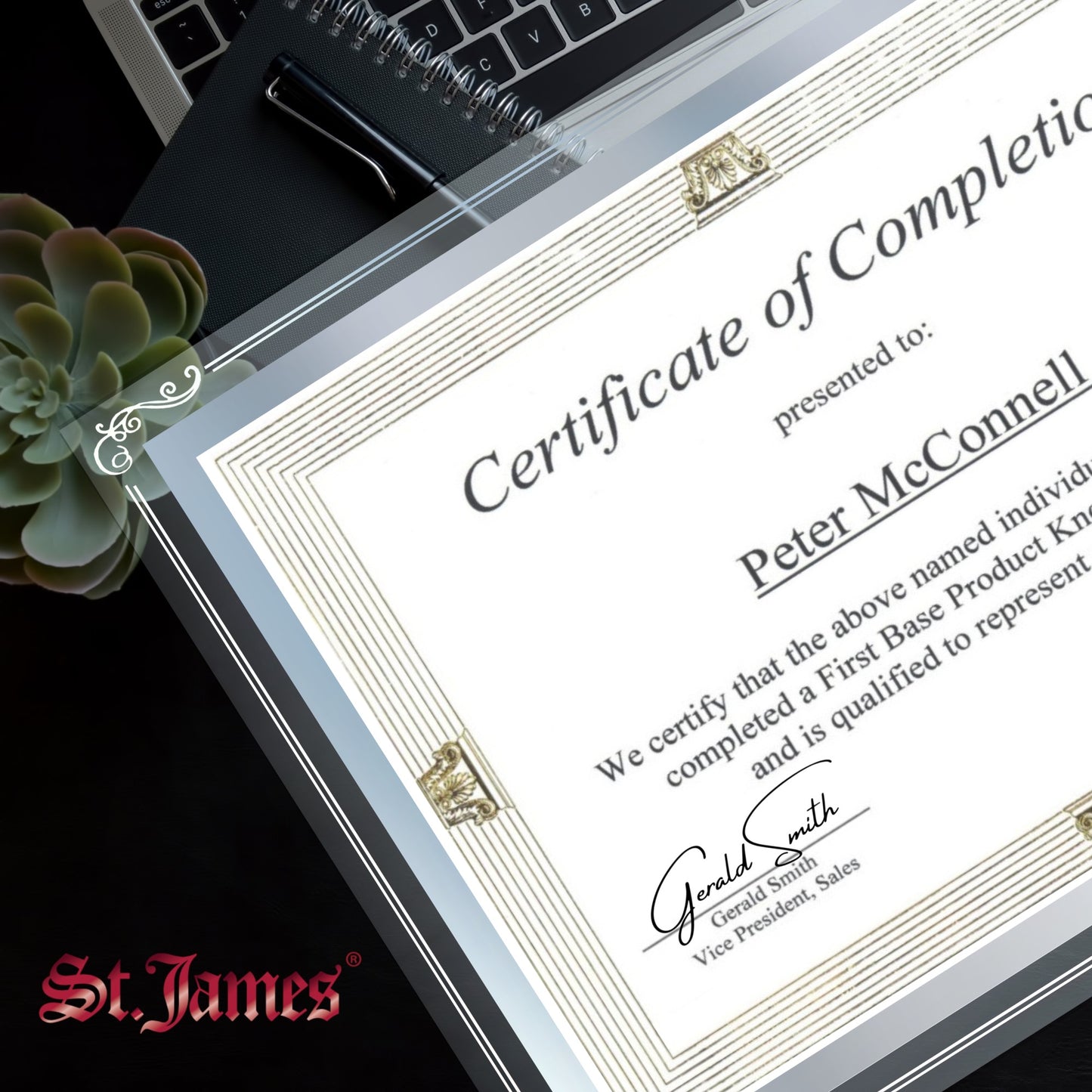 St. James® Certificate/Document/Diploma Glass Frame, 8.5x11", Decorative Border, Silver Foil, Pack of 2, 83946
