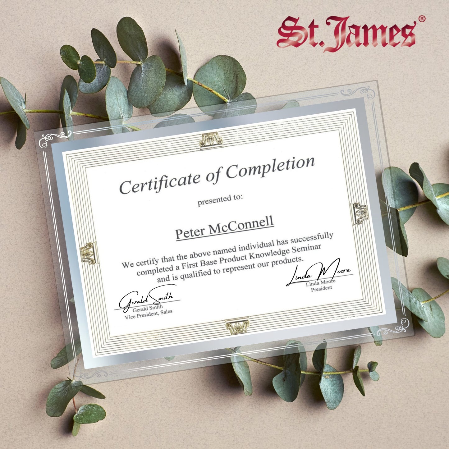 St. James® Certificate/Document/Diploma Glass Frame, 8.5x11", Decorative Border, Silver Foil, Pack of 2, 83946