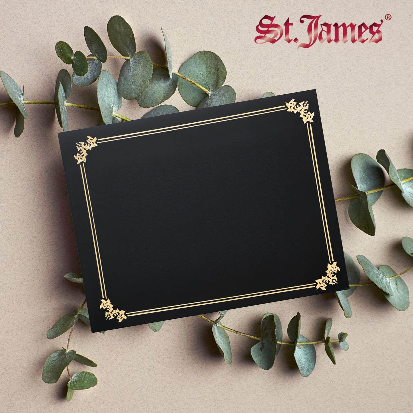 St. James® Premium Certificate Holders, Double Display Folders for 8.5 x 11" Documents, Black, Gold Foil Border, Pack of 10, 83953
