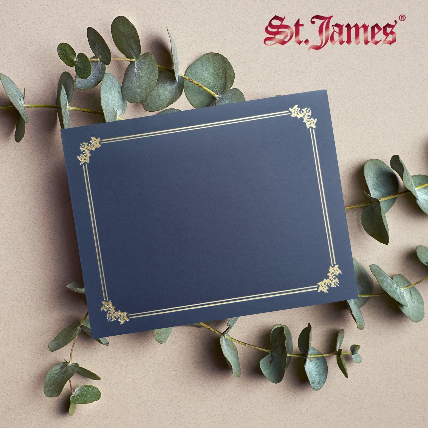 St. James® Premium Certificate Holders, Double Display Folders for 8.5 x 11" Documents, Navy Blue, Gold Foil Border, Pack of 10, 83955