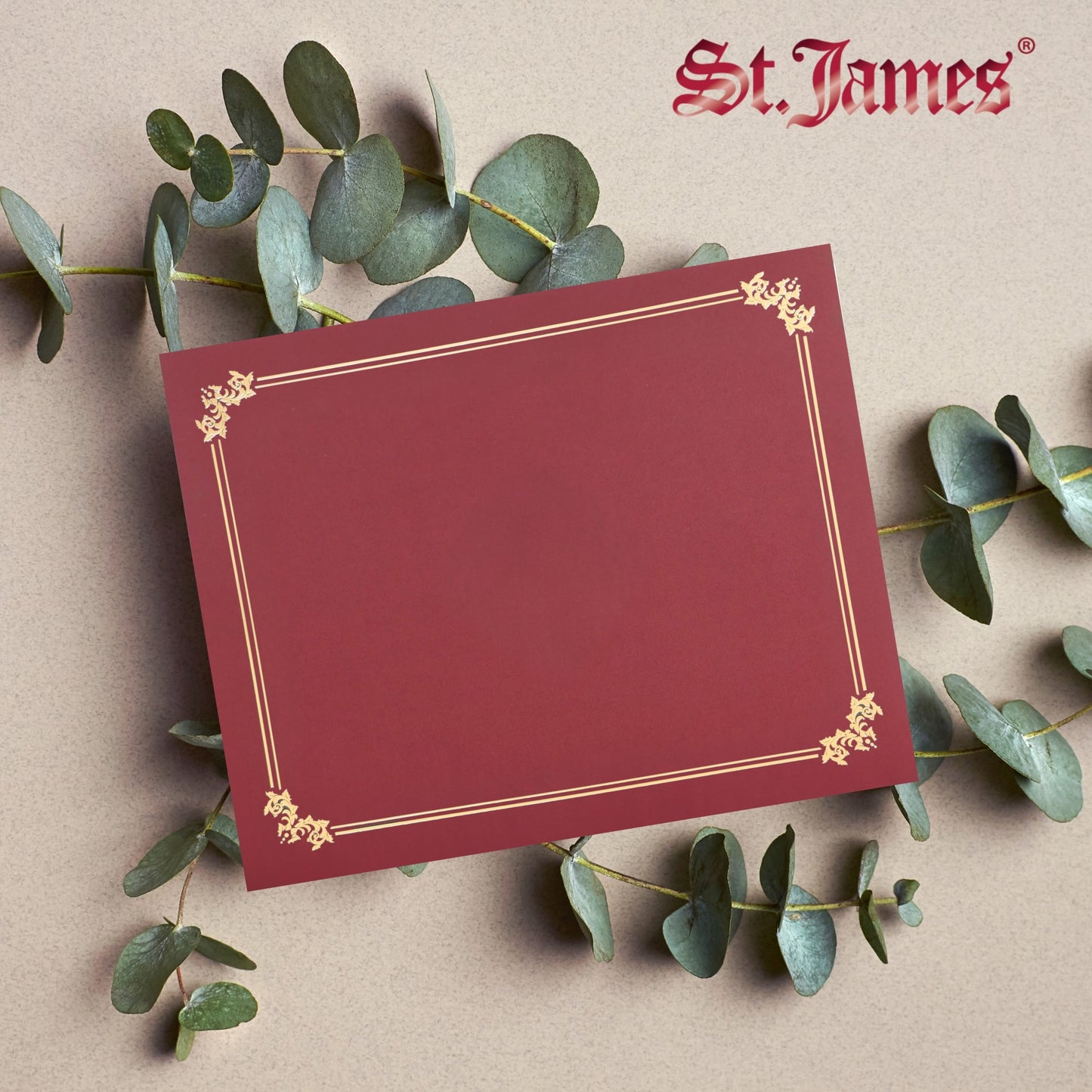St. James® Premium Certificate Holders, Double Display Folders for 8.5 x 11" Documents, Burgundy, Gold Foil Border, Pack of 10, 83957