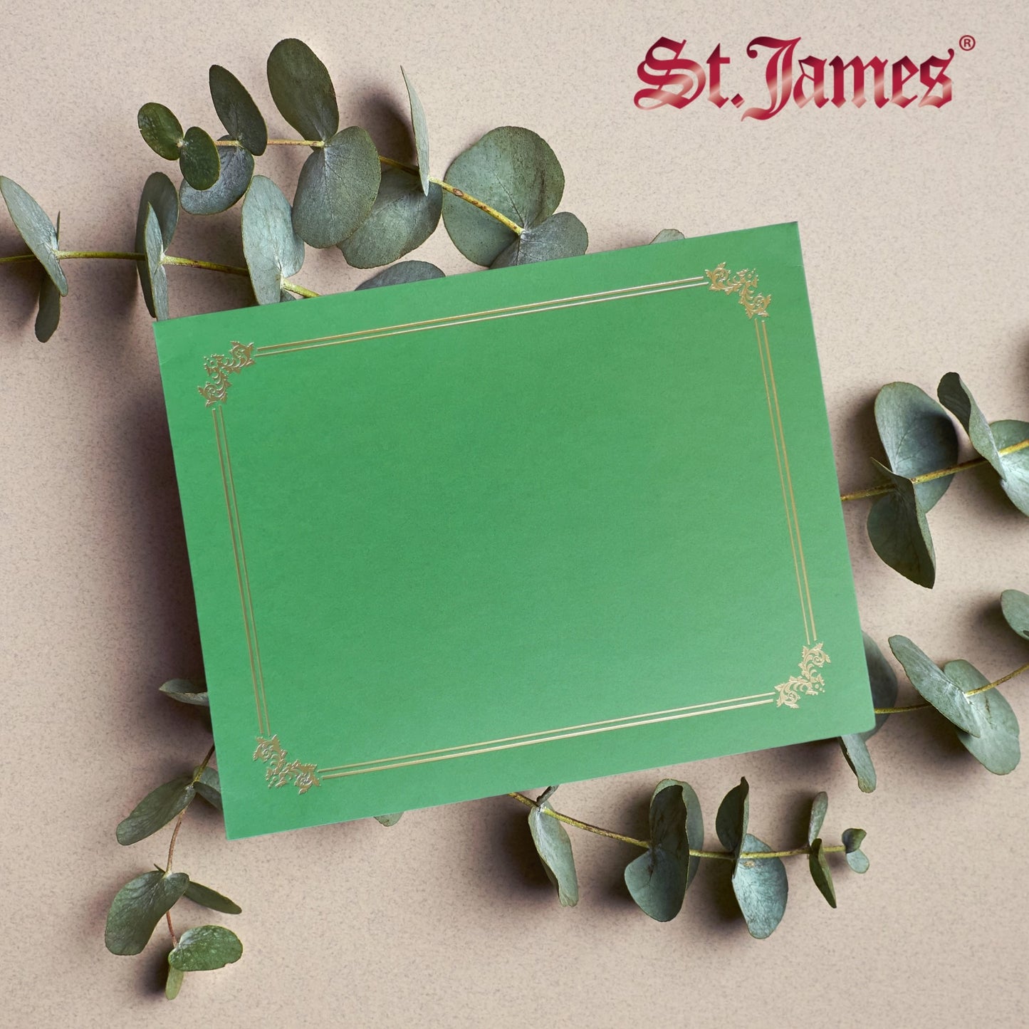 St. James® Premium Certificate Holders, Double Display Folders for 8.5 x 11" Documents, Green, Gold Foil Border, Pack of 10, 83959